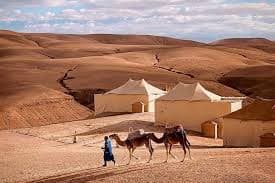 Désert Agafay chameaux camp berbère Marrakech